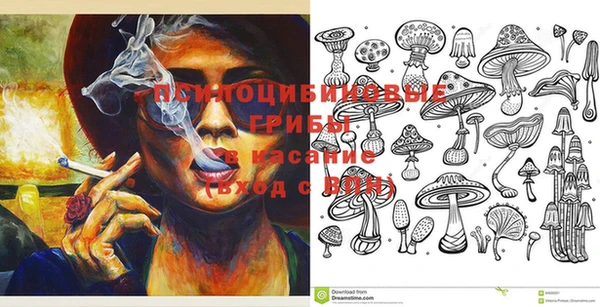 мет Пересвет