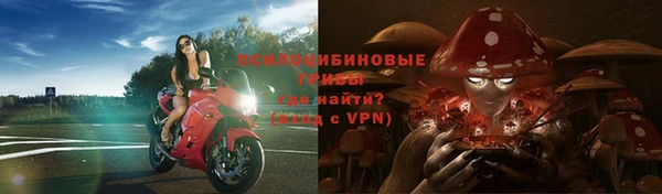 мяу мяу мука Вязьма