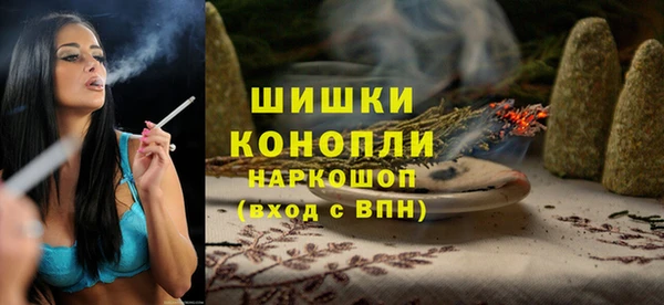 ECSTASY Вяземский