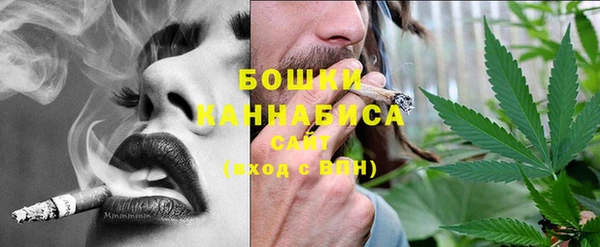 ECSTASY Вяземский