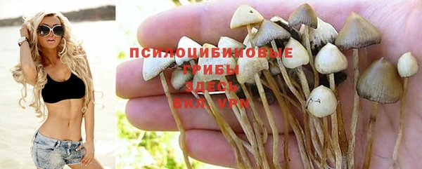 мяу мяу мука Вязьма