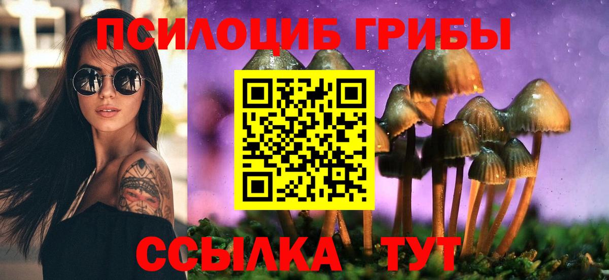 Обь  Псилоцибиновые грибы Psilocybine cubensis  Вход с VPN 